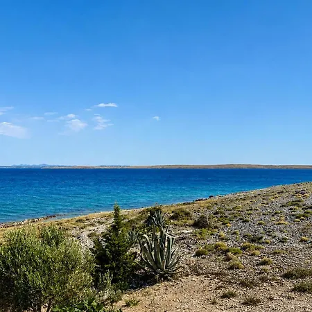 Lägenhet Pet Friendly In Smokvica